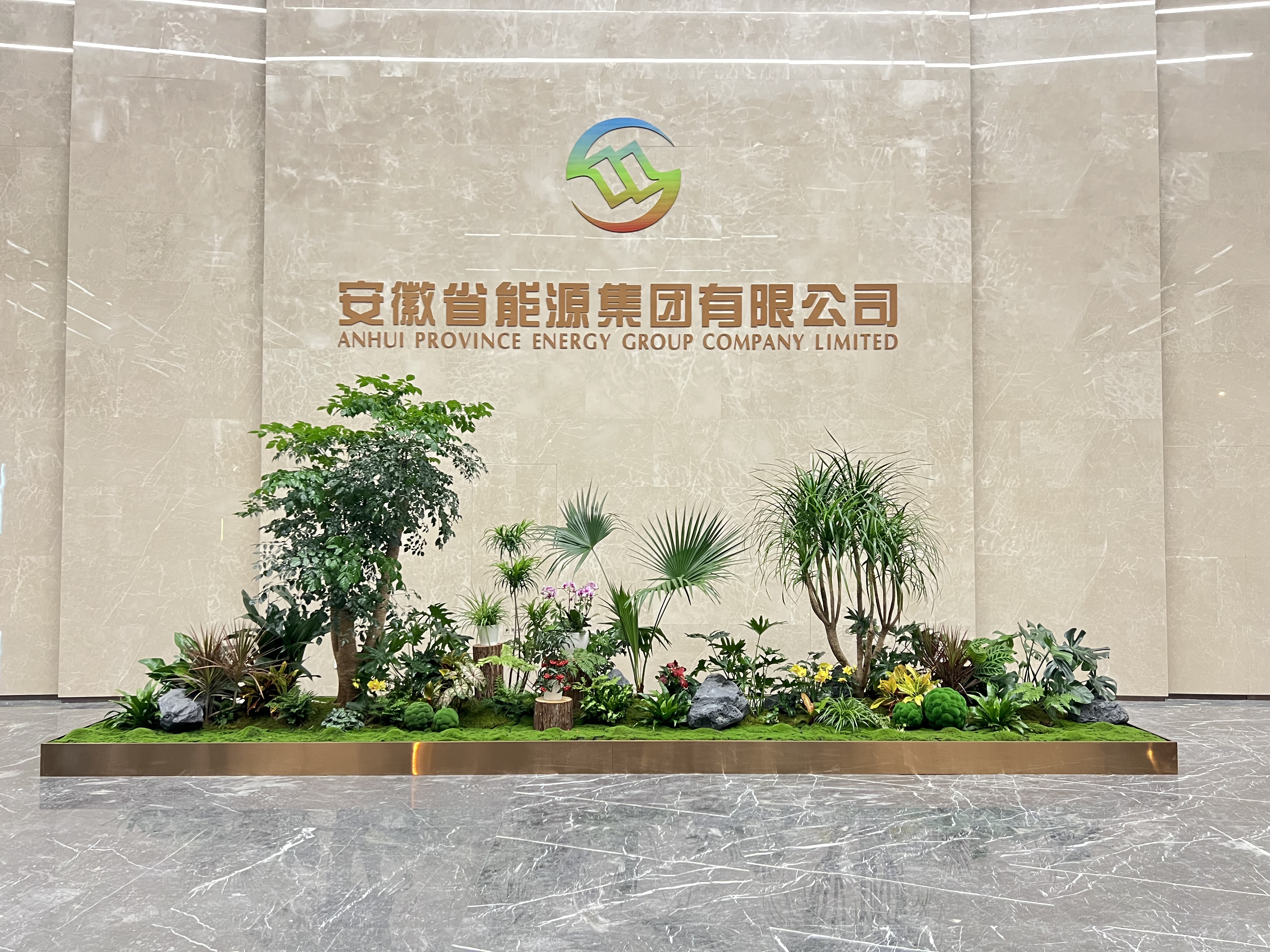 专业余姚盆景,出租服务为您精心打造景致